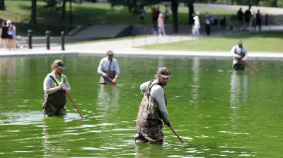 Trump's $14M 'American Flag Blue' Reflecting Pool Turns Algae Green
