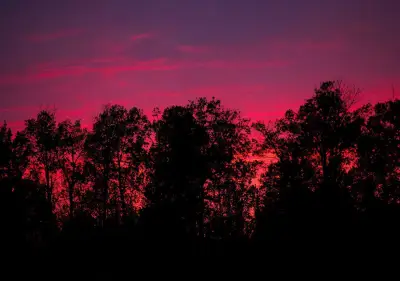 Wildfire Evacuees Return to Northern Ontario First Nation Homes