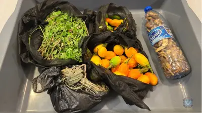 Windsor traveller fined $300 for undeclared produce at Detroit airport