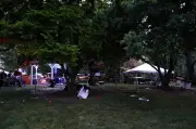 12 Shot at Ohio Street Festival; Suspects at Large, Police Say
