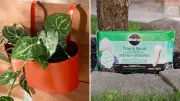 17 Useful Gardening Products Under $25 You Need Now