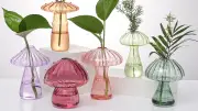 37 Viral Amazon Finds That Will Transform Your Home and Life in 2024