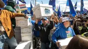 Alberta Separatists Seek Stay of Referendum Petition Ruling