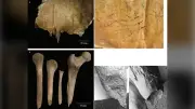 Ancient Burial Rituals: Brain Removal and Bone Sharpening in Iron Age