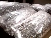 B.C. seeks to seize $12K linked to cannabis, magic mushroom trafficking