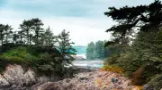 B.C. Unveils Major Reforestation Plan: 54M Trees by 2027