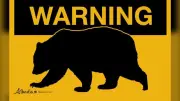 Bear Warning Issued for YMCA Camp Chief Hector Trails
