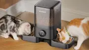 Best Prime Day Cat Deals: Vacuums, Feeders, Litter Boxes & More