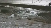 Calgary Waterworks Chaos: Inside Response to Major Water-Main Break
