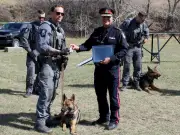 Canadian Police Dog Teams Sharpen Skills at Lethbridge Seminar