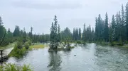 Canmore Flooding Not as Severe as 2013, Experts Say Amid Rainfall