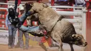 Cape Breton to Host Four-Day Rodeo Festival in September 2026