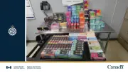 CBSA seizes $24K worth of nicotine vapes at Ambassador Bridge