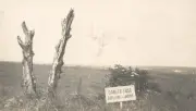 Danger Tree Installation in France Marks Newfoundland Regiment Loss