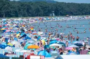 Europe Heat Wave: Buckling Highways, Red Alerts, Medical Emergencies