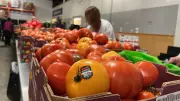Food Bank of Waterloo Region Not Surprised by Failing Poverty Grade