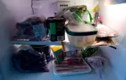 Food Safety Tips After Power Outage: What You Need to Know