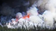 Forest Fire Hazard High in Northeast Ontario, 350-Hectare Blaze Active