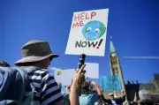 Groups Urge Ottawa to Reverse Environmental Policy Changes