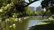 Heat and Humidity Surge Across Southwestern Ontario