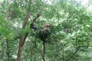 Improve Sleep by Mimicking Hunter-Gatherer Habits, Study Suggests