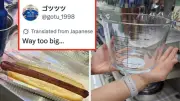 Japanese World Cup Fans' Viral Observations About America