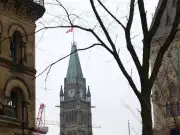 Liberal democracies cut public-sector jobs: How Canada compares globally