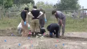 Mass Graves Found at NorCal Animal Rescue; Over 700 Dogs Missing