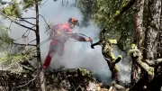 Massive Wildfire Burns Out of Control in B.C. Interior