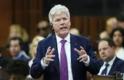 Minister Says Canadian Forestry Crisis Goes Beyond Trump Tariffs