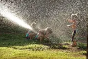 Montreal Aims to Cut Water Use: Simple Steps You Can Take