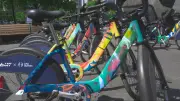 Montreal Artists Give Bixi Bikes a Summer Makeover in 'Art in Motion'