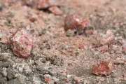N.B. Potash Project Completes Impact Report, Prepares for Summer Drilling