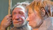 Neanderthals Thrived Before Extinction, Study Reveals