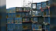 N.S. Program Teaches Students About Seafood Industry