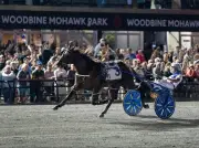 Odds On Mr Mamba Wins $1-Million North America Cup at Mohawk
