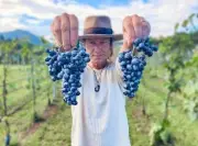 Ottawa-born Blaise Plant builds new life and winery in Japan