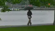 Ottawa Braces for Up to 40 mm of Rain on Thursday