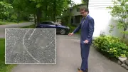 Ottawa Police Investigate Swastikas Drawn in Chalk Outside Jewish Family's Home