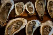 P.E.I. Oysters Recalled Over Possible Salmonella Contamination
