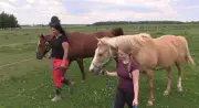 Personal tragedy sparks equine therapy business near Exeter