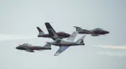 Petition launched to keep Snowbirds flying until new planes arrive in 2030s
