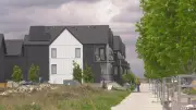 Predatory Solar Panel Sales Prompt Edmonton to Seek Stricter Regulations