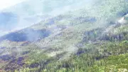 Rainfall Helps Firefighters Contain Timmins 9 Forest Fire