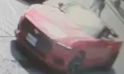 Red Mustang Driver Sought After Assault on Teen in Windsor