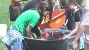 Regina students help plant trees at Kinsmen Park