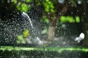 Saint-Hyacinthe Extends Lawn Watering Ban to August 31 Amid Drought