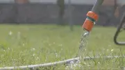 Saint-Hyacinthe Residents Banned from Lawn Watering Amid Water Shortage
