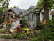 Saskatchewan Pounded by Severe Storms in Peak Season: Environment Canada