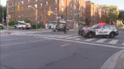 Section of Yonge Street Reopens After Car Crashes Into Traffic Light